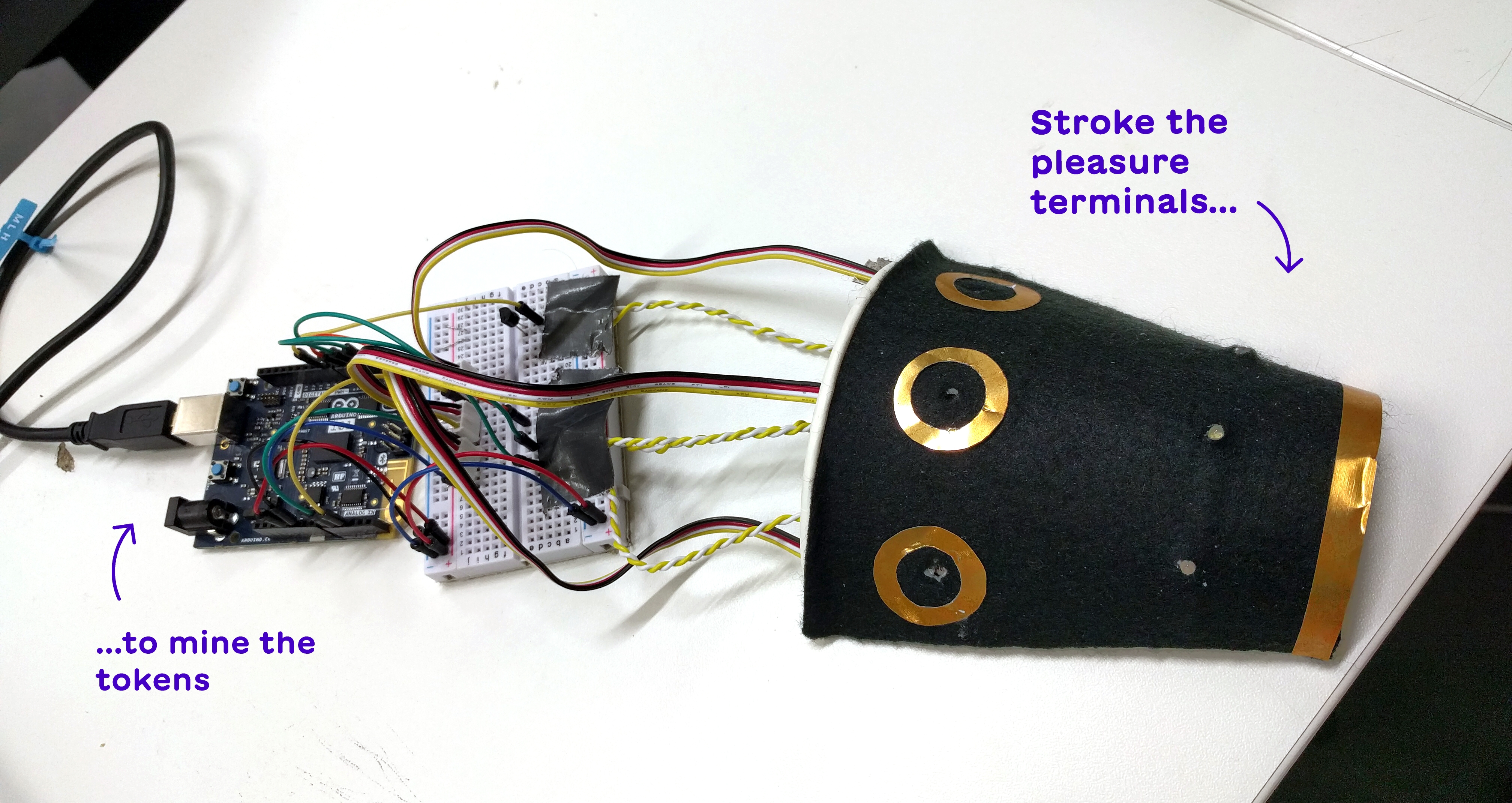 FUCKCOINS | matteo loglio